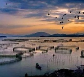 南通伴游中国网景点丰富(旅游网介绍)