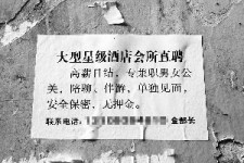 南通珠海伴游雇用网(珠海游览社雇用信息)