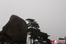 南通上海伴游私家陪游雇用女模(上海伴游私家陪游雇用女模特)