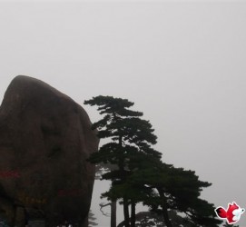 南通上海伴游私家陪游雇用女模(上海伴游私家陪游雇用女模特)