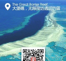南通中国250家旅行社结伴游新西兰(新西兰当地旅行社)