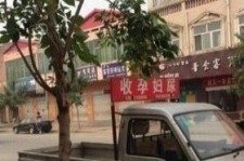 南通上海伴游 用伴游造句大全(5