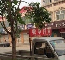 南通上海伴游 用伴游造句大全(5