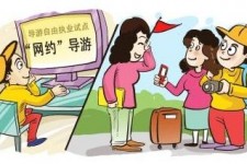 南通伴游是什么