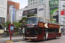 南通上海私人伴游 上海过年怎么玩？这些“微游”线路了解下→