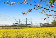 南通高铁游(高铁游戏下载手机版)