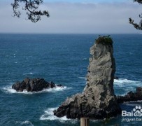 南通旅游全攻略(上海旅游全攻略)