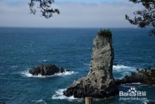 南通旅游全攻略(上海旅游全攻略)
