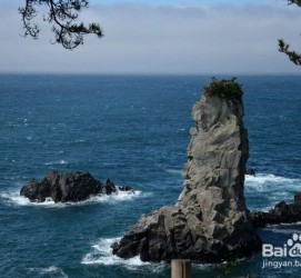 南通旅游全攻略(上海旅游全攻略)