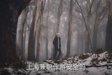 南通上海私人伴游 上海伴游，上海兼职伴游安全吗