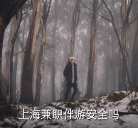 南通上海私人伴游 上海伴游，上海兼职伴游安全吗