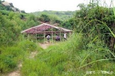南通北海伴游兼职雇用信息(北海伴游兼职雇用信息大全)