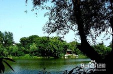 南通西湖旅游攻略(上海到杭州西湖旅游攻略)