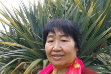 南通白叟带老伴游半个中国(白叟外出旅游)