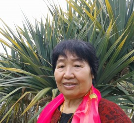 南通白叟带老伴游半个中国(白叟外出旅游)