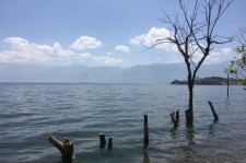 南通洱海旅游攻略(洱海旅游攻略自由行)