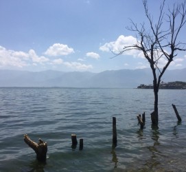 南通洱海旅游攻略(洱海旅游攻略自由行)