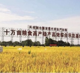 南通关于成都商务伴游外围雇用的信息