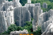 南通贵阳市游览社英语伴游雇用(贵阳市前十名游览社是哪几家)