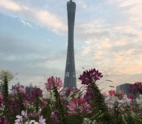 南通广州旅游攻略(杭州到广州旅游攻略)