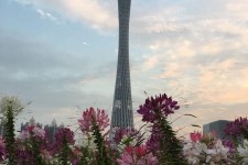 南通广州旅游攻略(杭州到广州旅游攻略)