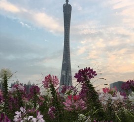 南通广州旅游攻略(杭州到广州旅游攻略)
