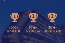 南通上海私人伴游 ​ “小而美”的新时代：2020年国内新跟团消费报告