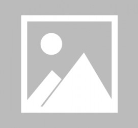 南通最新导游伴游雇用信息(最新导游伴游雇用信息大全)
