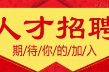 南通上海伴游招聘 招聘 | 浦东机场专柜销售