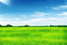 南通上海伴游 上海模特伴游微信号的交友宣言