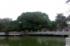 南通福州旅游攻略(福州旅游攻略二日游)