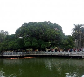 南通福州旅游攻略(福州旅游攻略二日游)