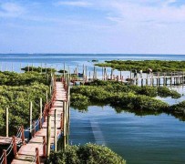 南通旅游哪里好玩(云南旅游哪里好玩)