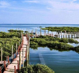 南通旅游哪里好玩(云南旅游哪里好玩)