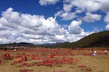 南通旅游去处(暑期最好的旅游去处)