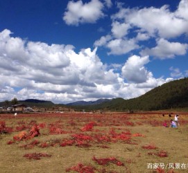南通旅游去处(暑期最好的旅游去处)
